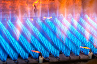 Bryn Mawr gas fired boilers